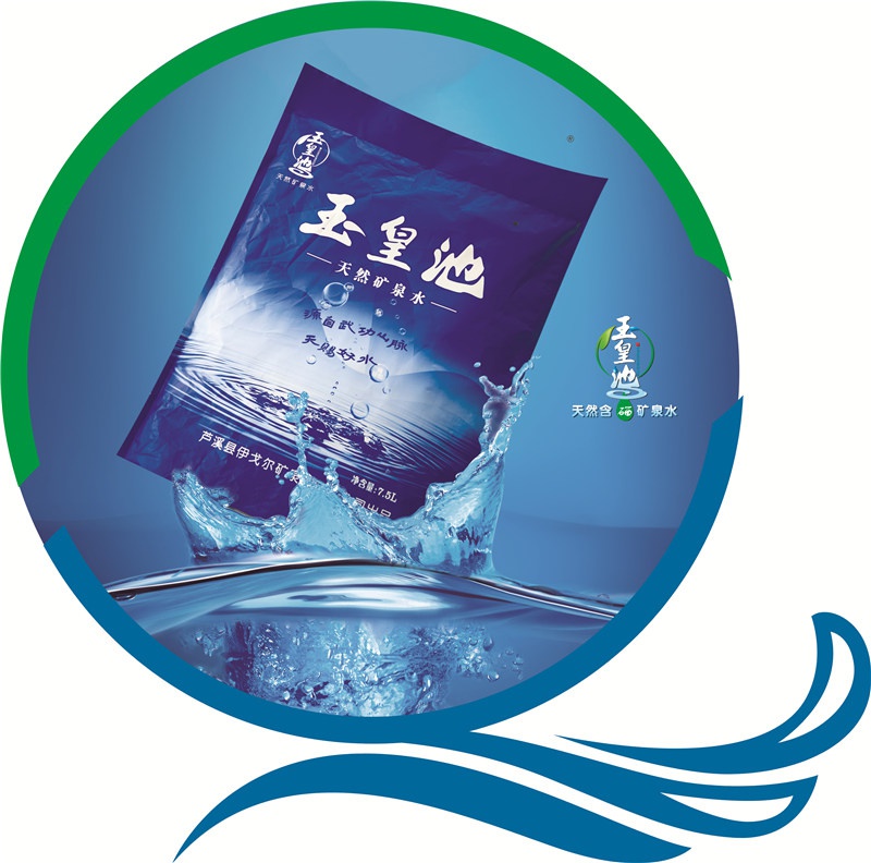 袋装水